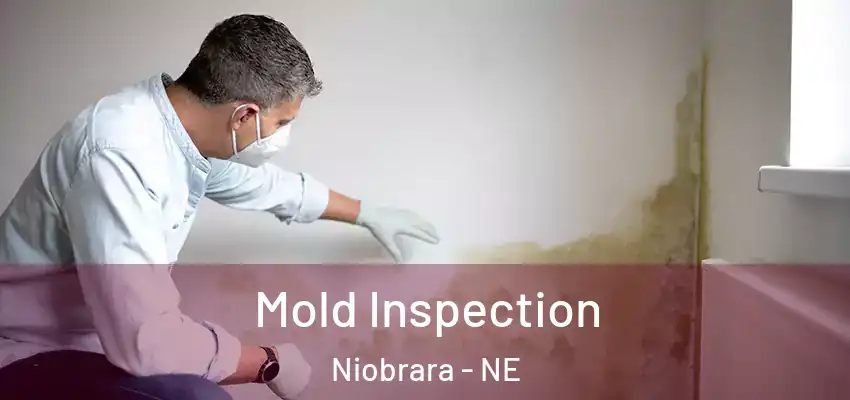  Mold Inspection Niobrara - NE