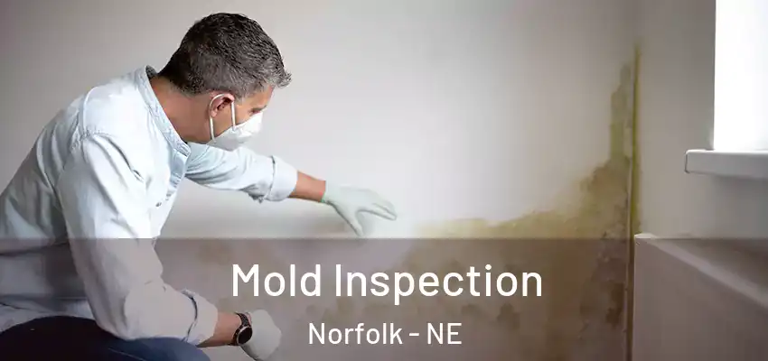  Mold Inspection Norfolk - NE