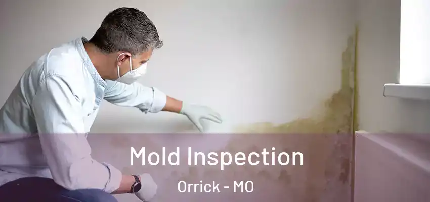 Mold Inspection Orrick - MO
