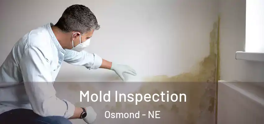 Mold Inspection Osmond - NE