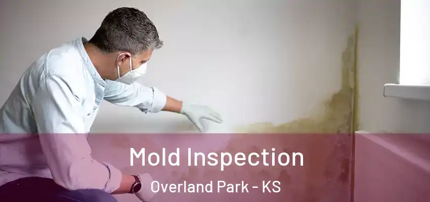  Mold Inspection Overland Park - KS