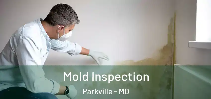 Mold Inspection Parkville - MO