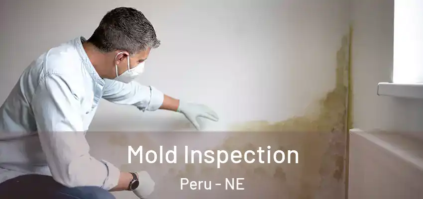  Mold Inspection Peru - NE