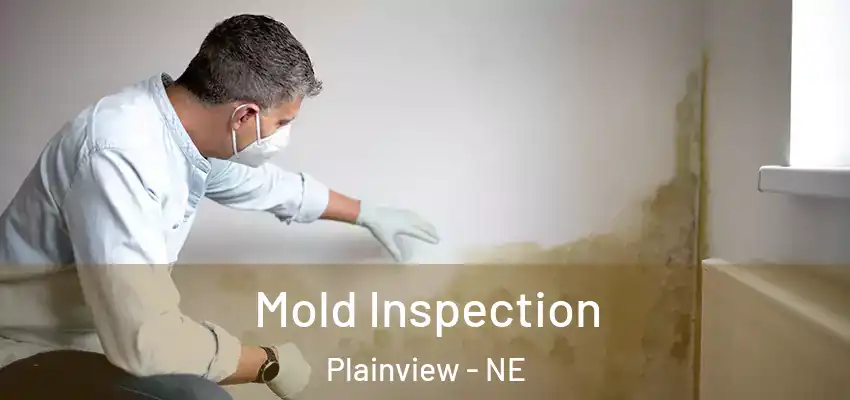 Mold Inspection Plainview - NE