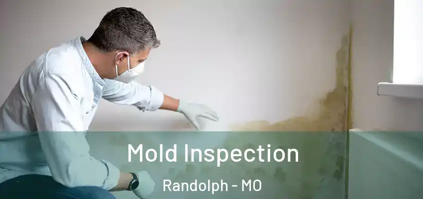 Mold Inspection Randolph - MO