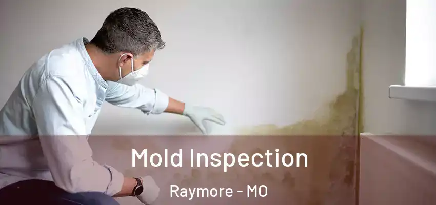 Mold Inspection Raymore - MO