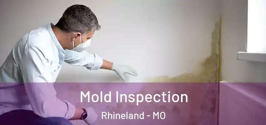 Mold Inspection Rhineland - MO