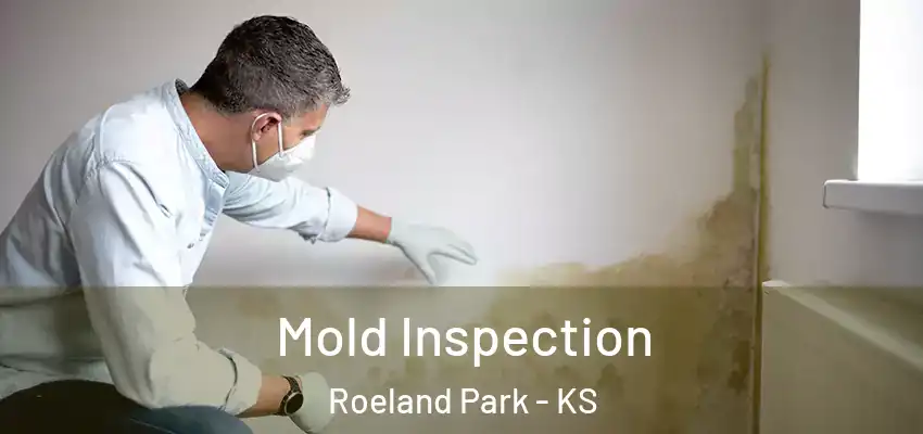 Mold Inspection Roeland Park - KS