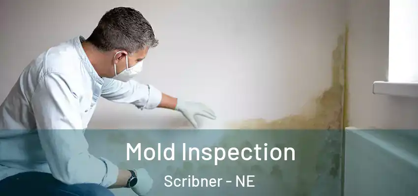  Mold Inspection Scribner - NE