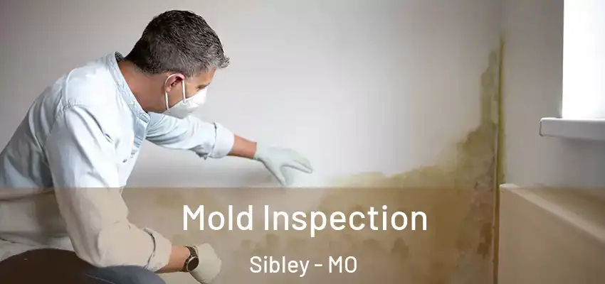  Mold Inspection Sibley - MO