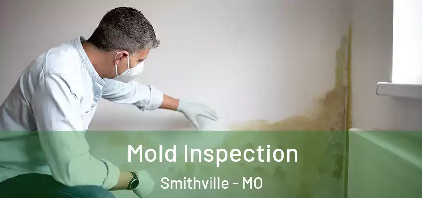 Mold Inspection Smithville - MO