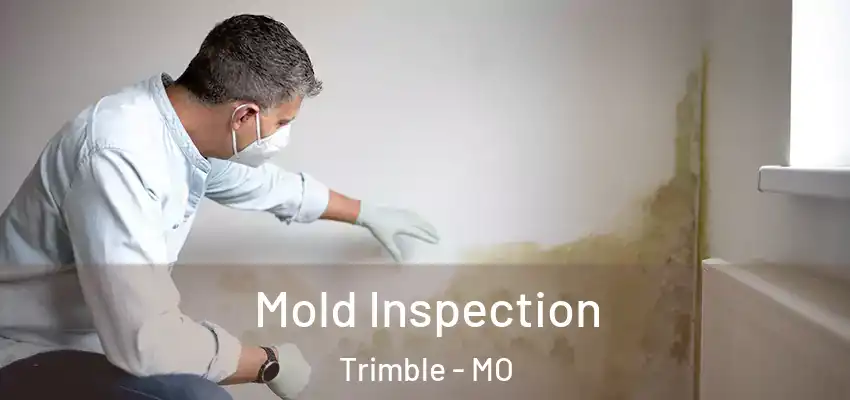  Mold Inspection Trimble - MO