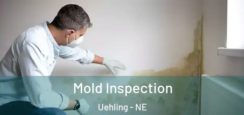  Mold Inspection Uehling - NE