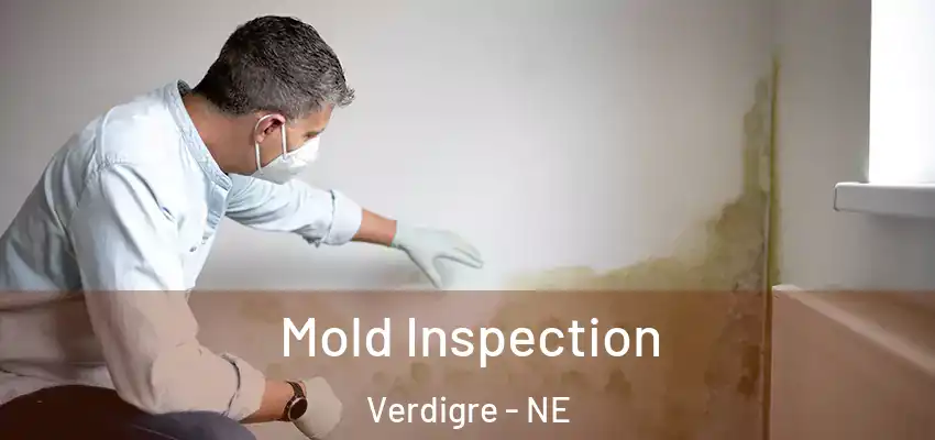 Mold Inspection Verdigre - NE