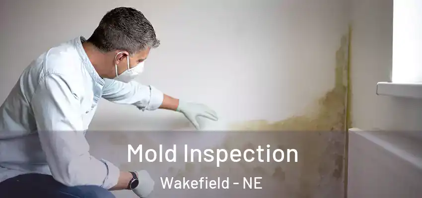 Mold Inspection Wakefield - NE