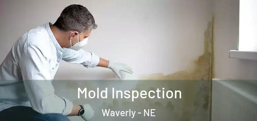  Mold Inspection Waverly - NE