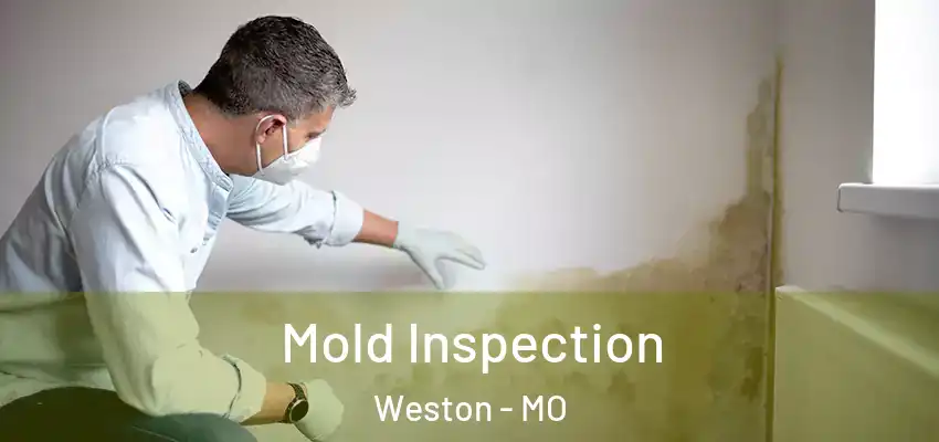 Mold Inspection Weston - MO
