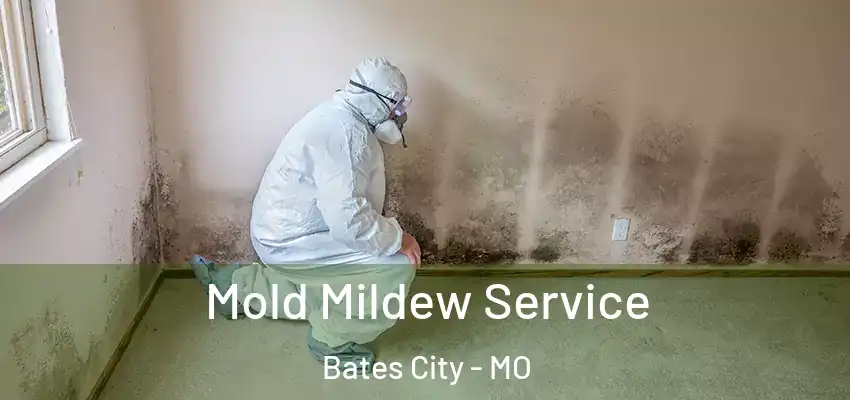  Mold Mildew Service Bates City - MO
