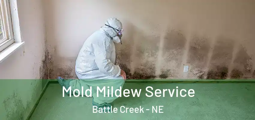  Mold Mildew Service Battle Creek - NE