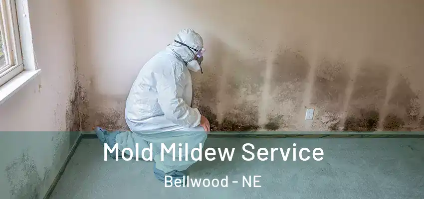 Mold Mildew Service Bellwood - NE