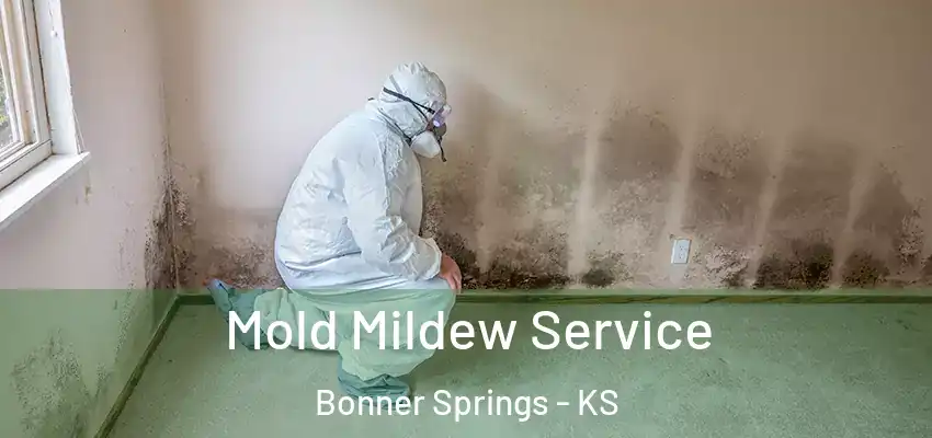  Mold Mildew Service Bonner Springs - KS