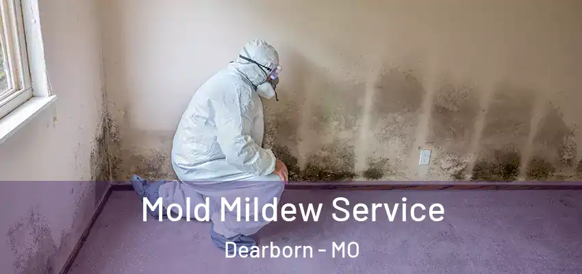 Mold Mildew Service Dearborn - MO