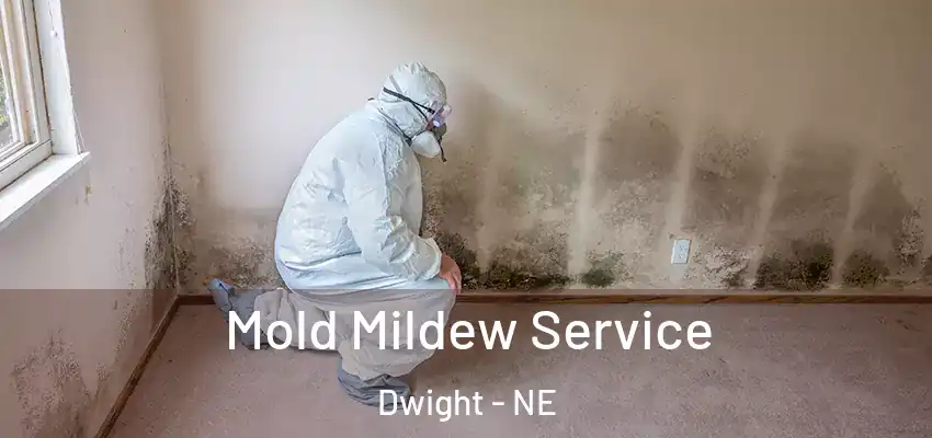 Mold Mildew Service Dwight - NE