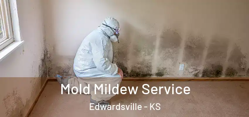Mold Mildew Service Edwardsville - KS