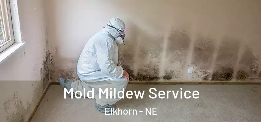  Mold Mildew Service Elkhorn - NE