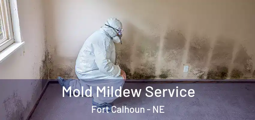 Mold Mildew Service Fort Calhoun - NE