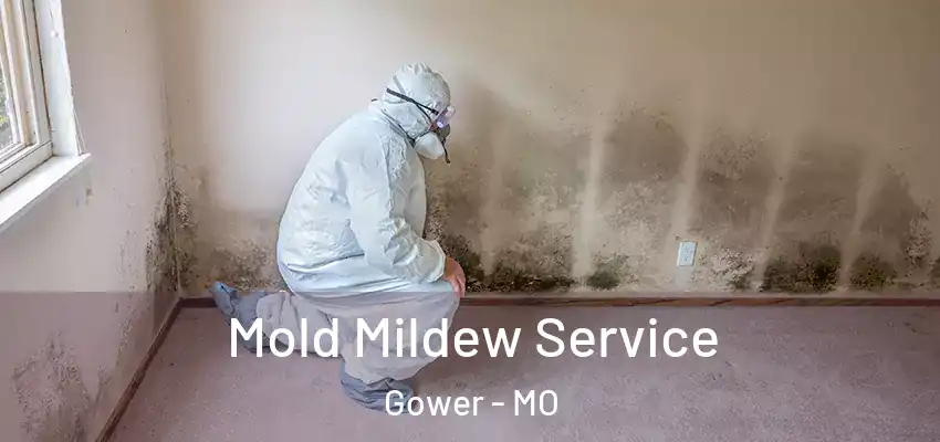 Mold Mildew Service Gower - MO