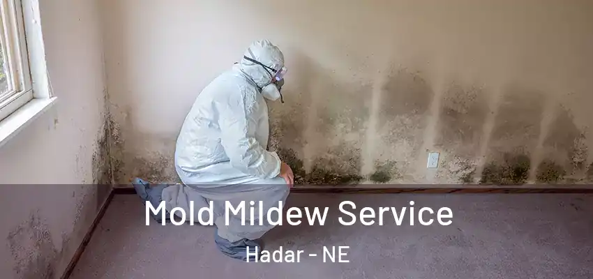  Mold Mildew Service Hadar - NE