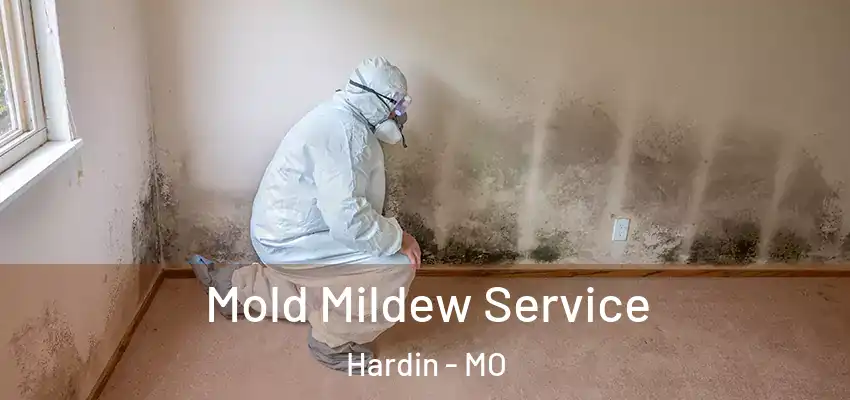  Mold Mildew Service Hardin - MO