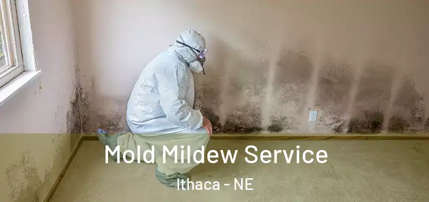 Mold Mildew Service Ithaca - NE