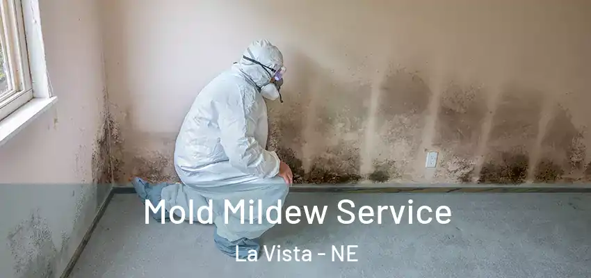  Mold Mildew Service La Vista - NE