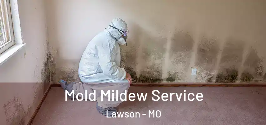 Mold Mildew Service Lawson - MO