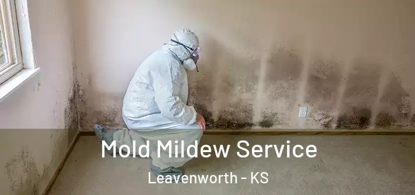 Mold Mildew Service Leavenworth - KS