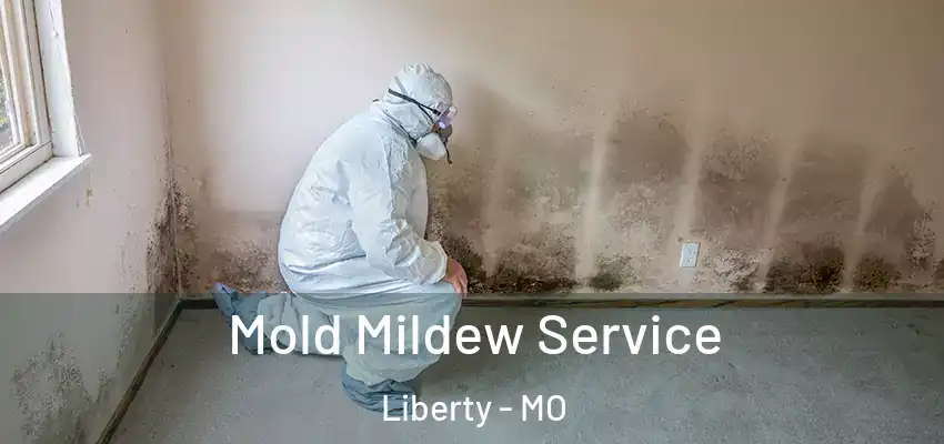  Mold Mildew Service Liberty - MO