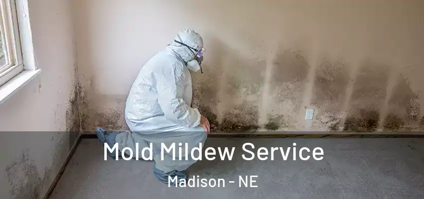  Mold Mildew Service Madison - NE