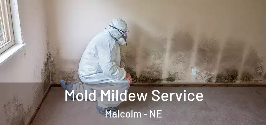  Mold Mildew Service Malcolm - NE