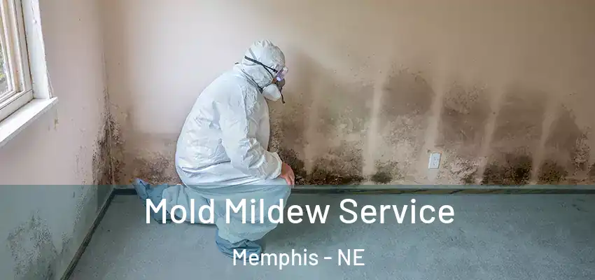  Mold Mildew Service Memphis - NE