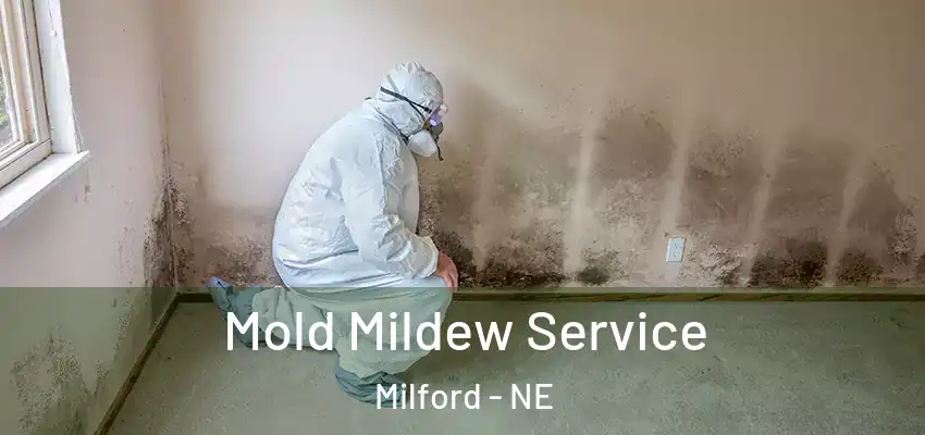  Mold Mildew Service Milford - NE