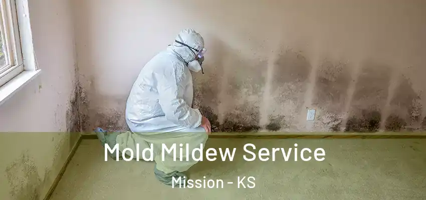  Mold Mildew Service Mission - KS