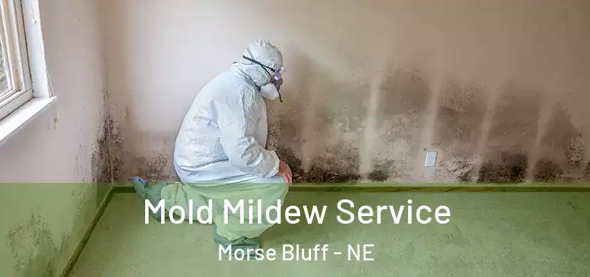  Mold Mildew Service Morse Bluff - NE