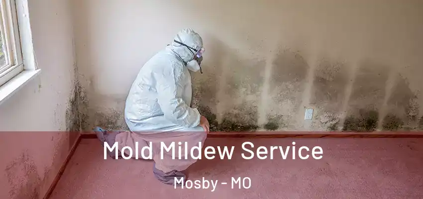  Mold Mildew Service Mosby - MO