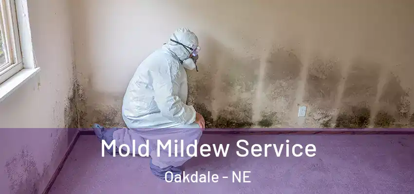  Mold Mildew Service Oakdale - NE