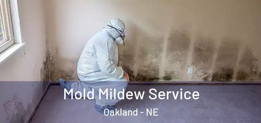  Mold Mildew Service Oakland - NE