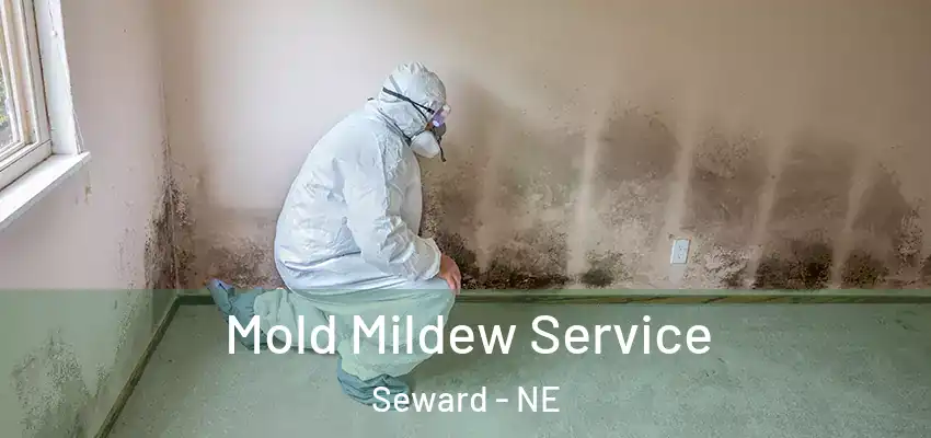  Mold Mildew Service Seward - NE