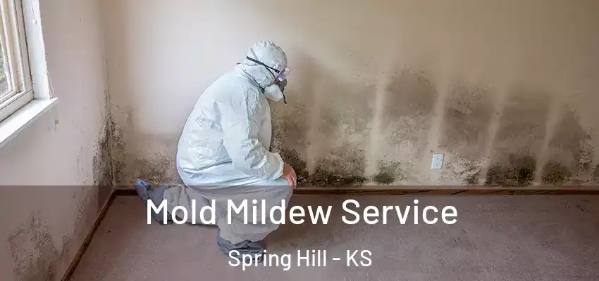  Mold Mildew Service Spring Hill - KS