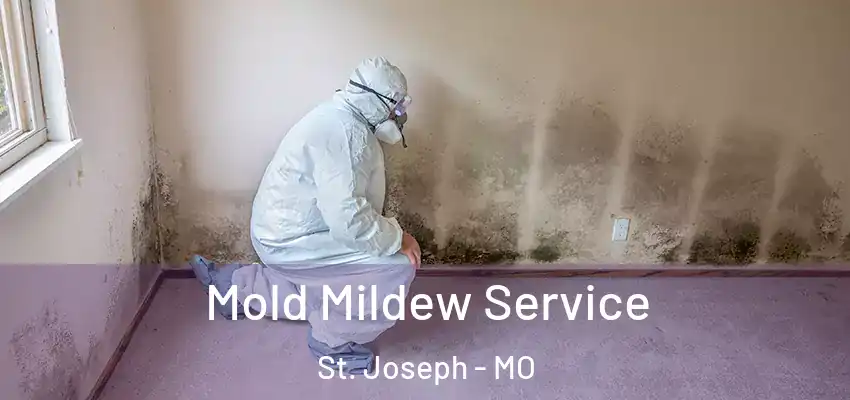  Mold Mildew Service St. Joseph - MO